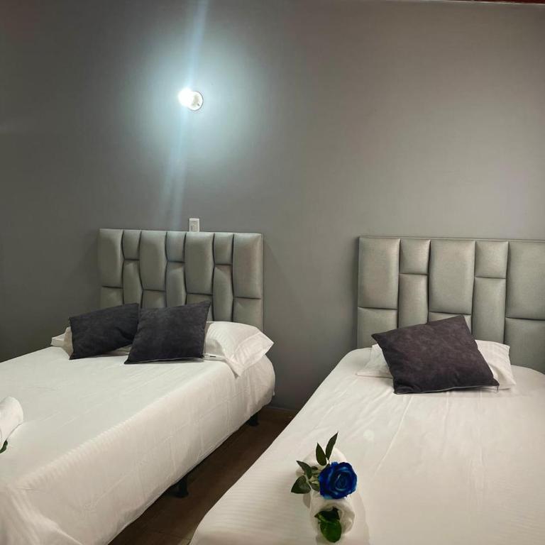 Comparte tu hogar en Medellín - Habitación Triple con baño privado - 15