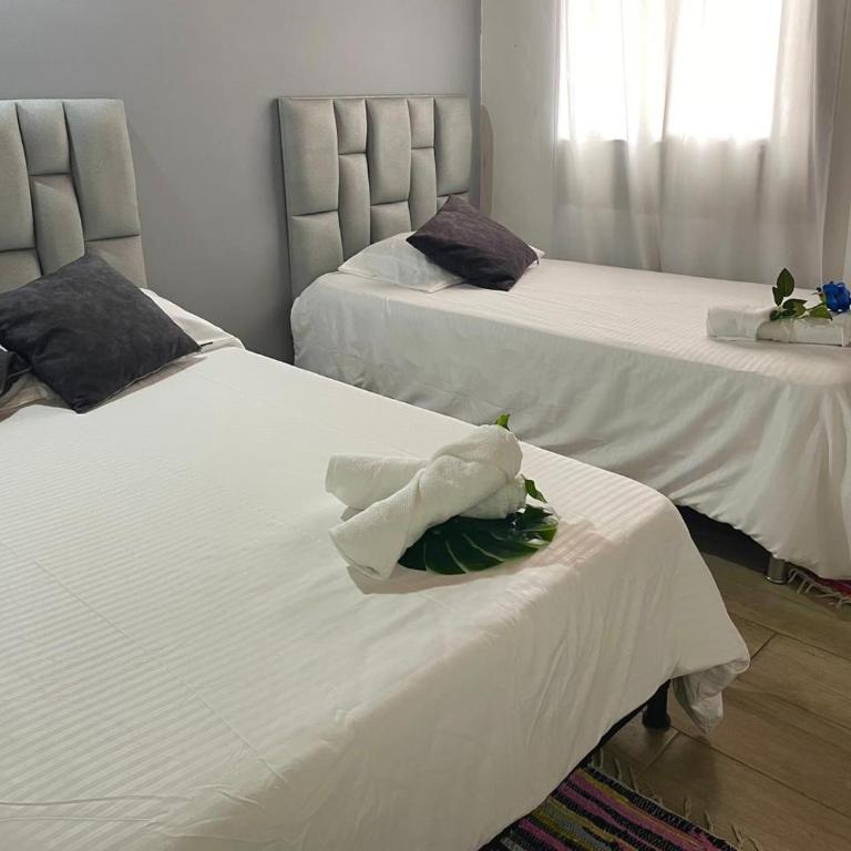 Comparte tu hogar en Medellín - Habitación Triple con baño privado - 17