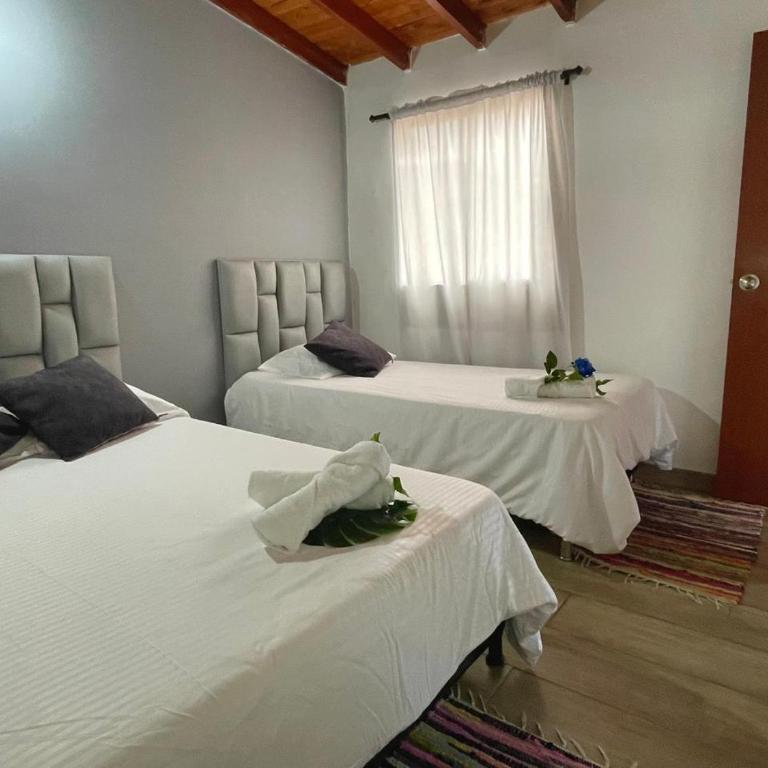 Comparte tu hogar en Medellín - Habitación Triple con baño privado - 13