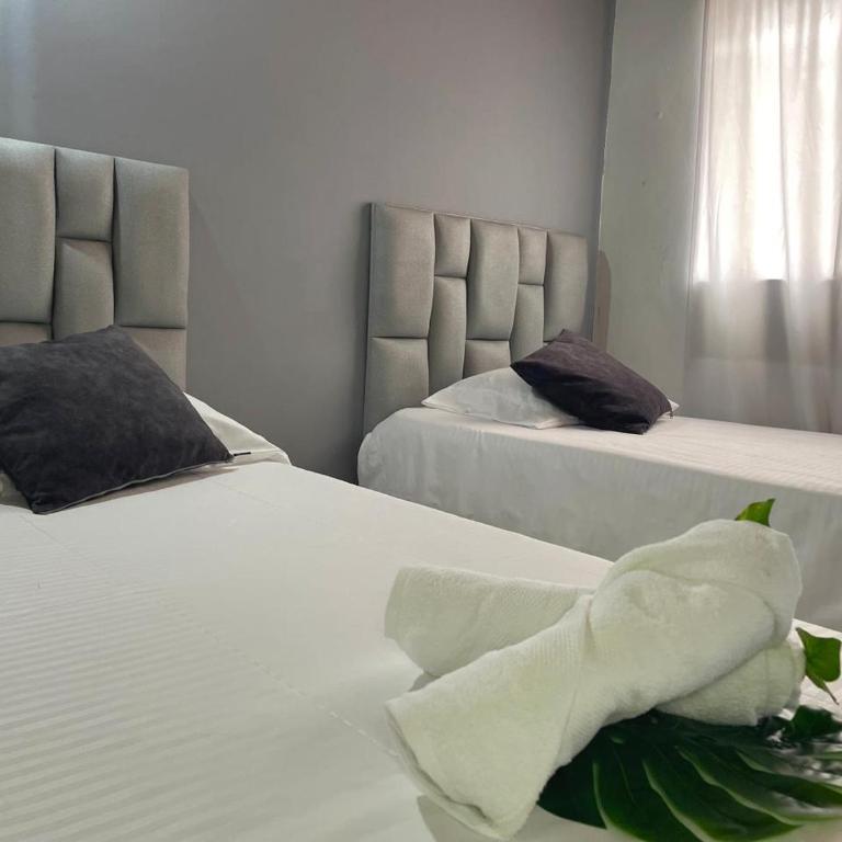 Comparte tu hogar en Medellín - Habitación Triple con baño privado - 19