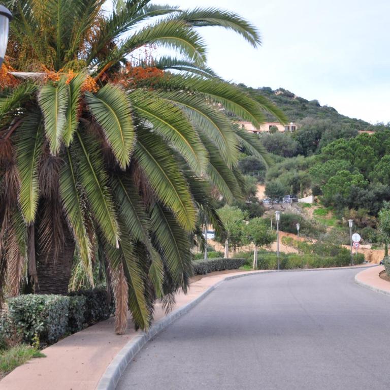 F2 Le Lavezzi - Appartement - Vue sur Mer - 9