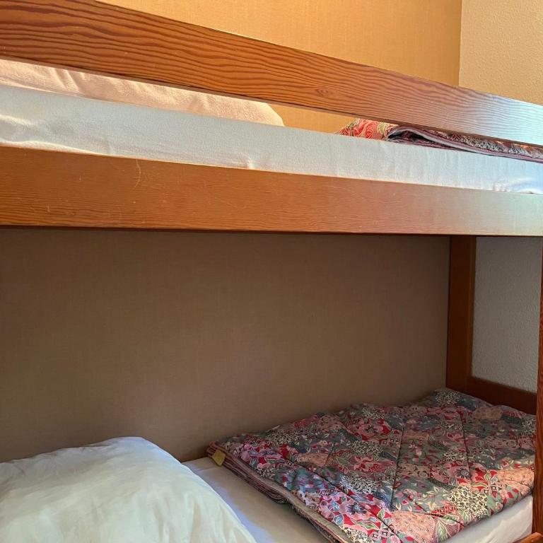 Appartement 2 pièces avec accès piscine, près des pistes, 4 personnes max - FR-1-464-257 - Appartement - 3