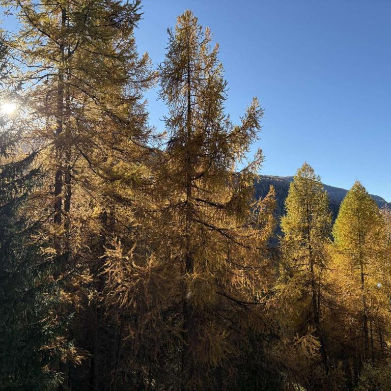 Studio calme, 4 pers, proche pistes et commerces - FR-1-322-696 - Monolocale - 9