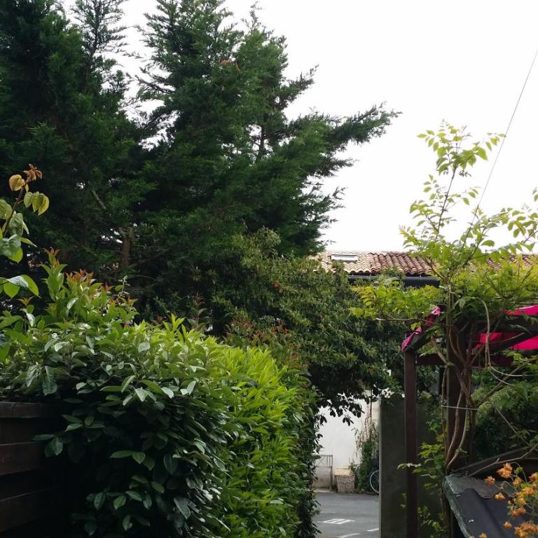 Duplex14h 1er étage jardinet 1 parking ou studio14B rdc terrasse sans parking - Appartement 1 Chambre - 30