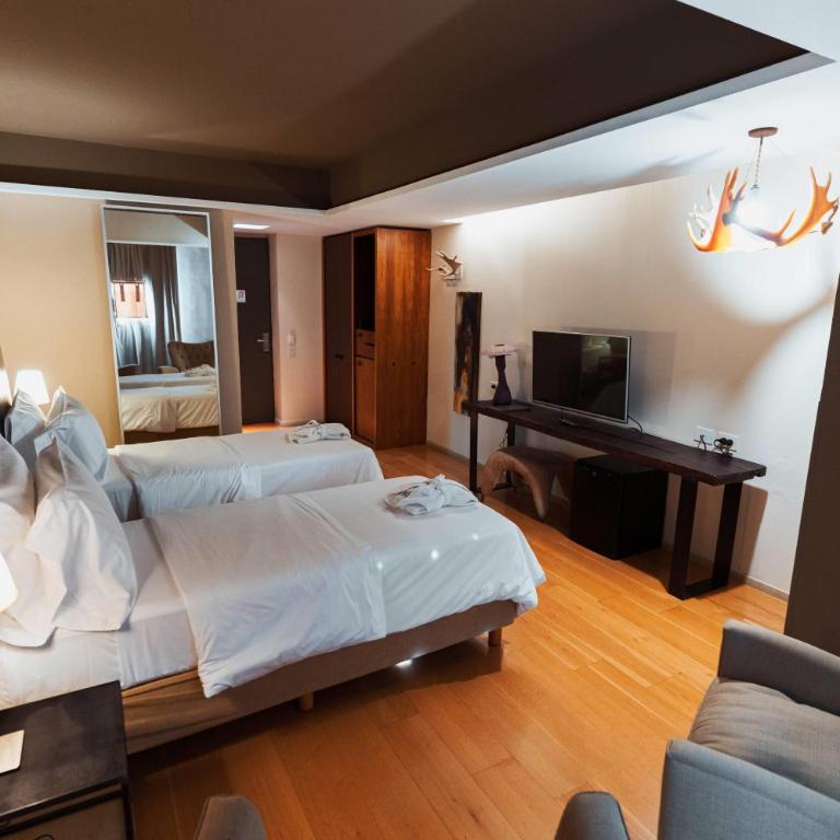 Esplendor by Wyndham El Calafate - Habitación Doble con vistas a las montañas - 2 camas - 6