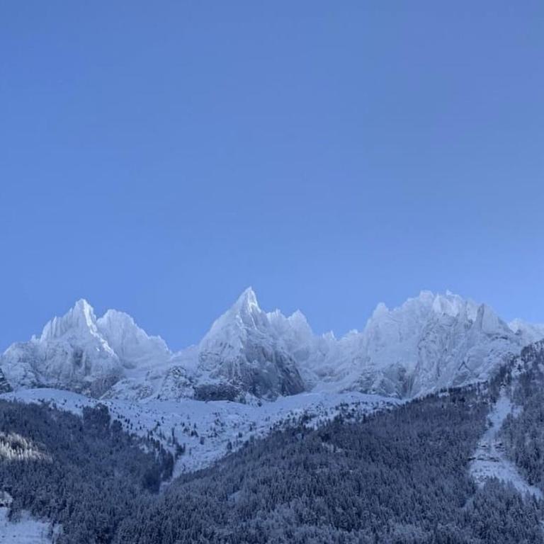 Central Chamonix, Charming Studio & Balcony - Apartment mit 1 Schlafzimmer - 26