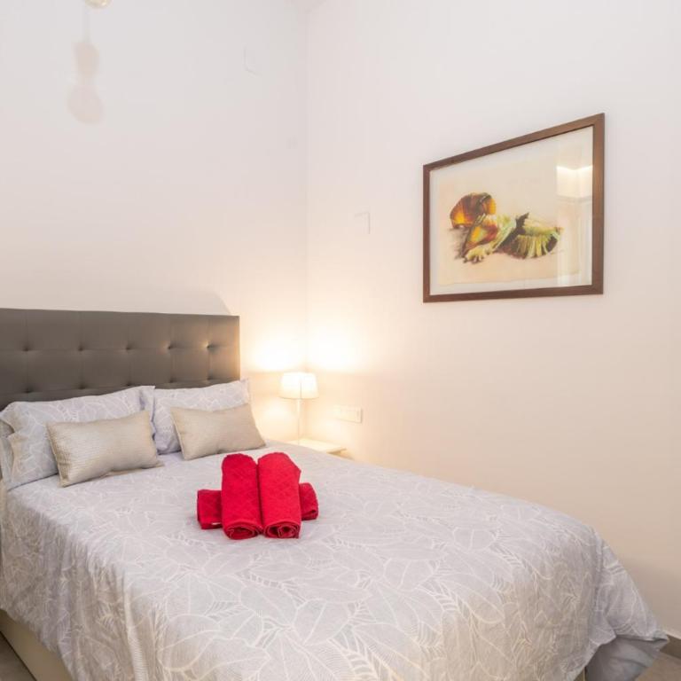 Apartamento Doña Inés centro - Apartamento de 1 dormitorio - 6