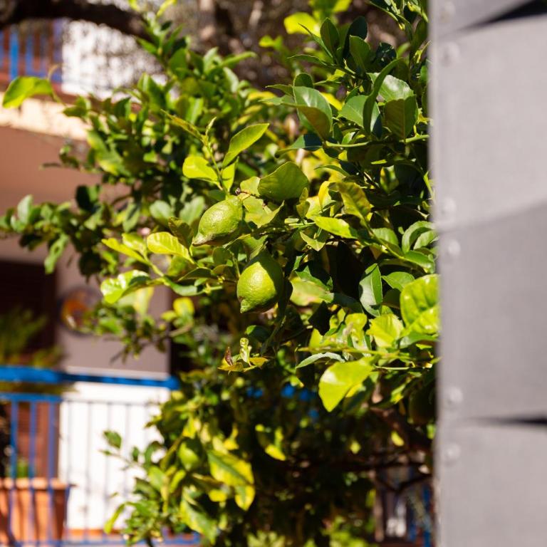 Solemar Sicilia - Villa Mariù - Two-Bedroom Villa - 27