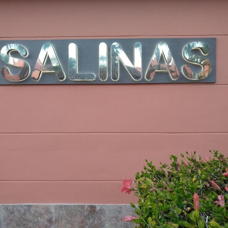 Atico de lujo con hermosas vistas, Salinas, Estepona - Apartamento de 2 dormitorios - 2