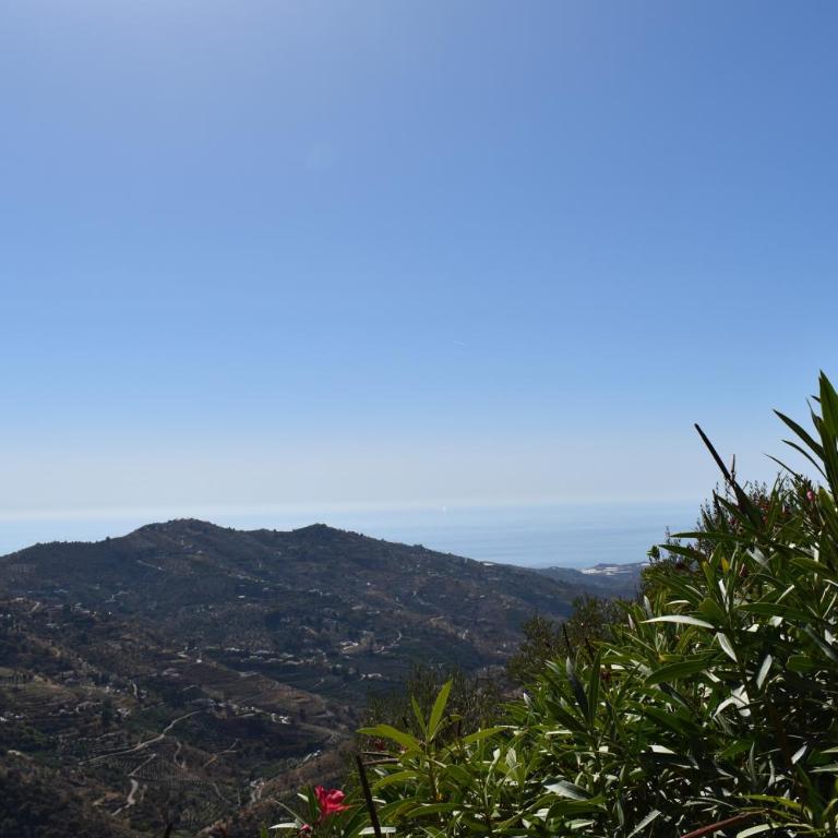 Finca Angarilla with private Pool - Chalet con 3 Camere da Letto - 15
