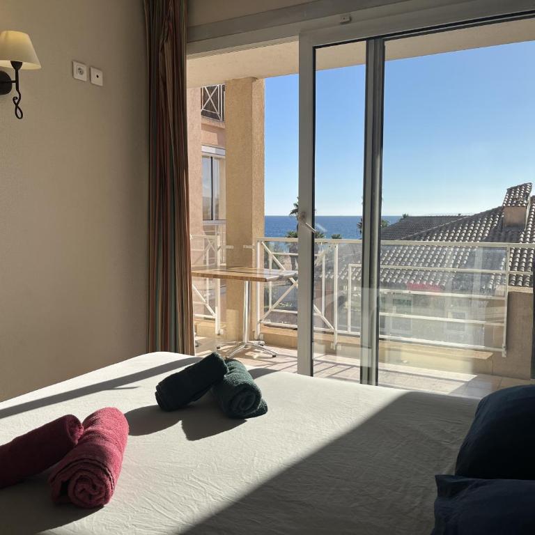 CAP HERMES 312, T2,3, 40m2 clim, parking, piscine - Appartement 2 Chambres avec Terrasse et Vue sur la Mer - 18