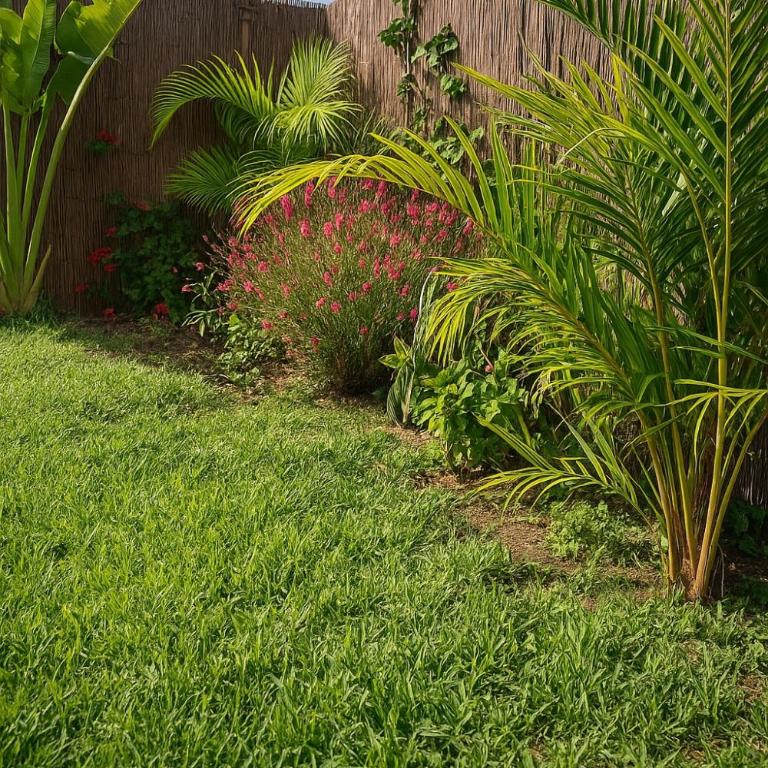 BuzzStays: 1-Bed Bungalow, Garden, Near Yumbo & Beach - Apartamento de 1 dormitorio - 18