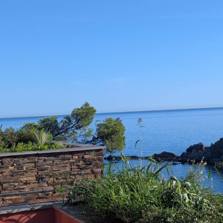 Apart Berenice Collioure Cote Vermeille Piscine Crique Terrasse Vue Mer - Appartement 1 Chambre - 1