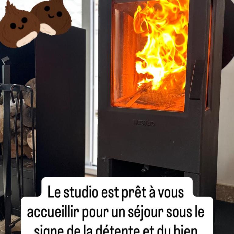 Grand Studio Mer et Confort centre-ville, parking - Casa con 1 dormitorio - 34
