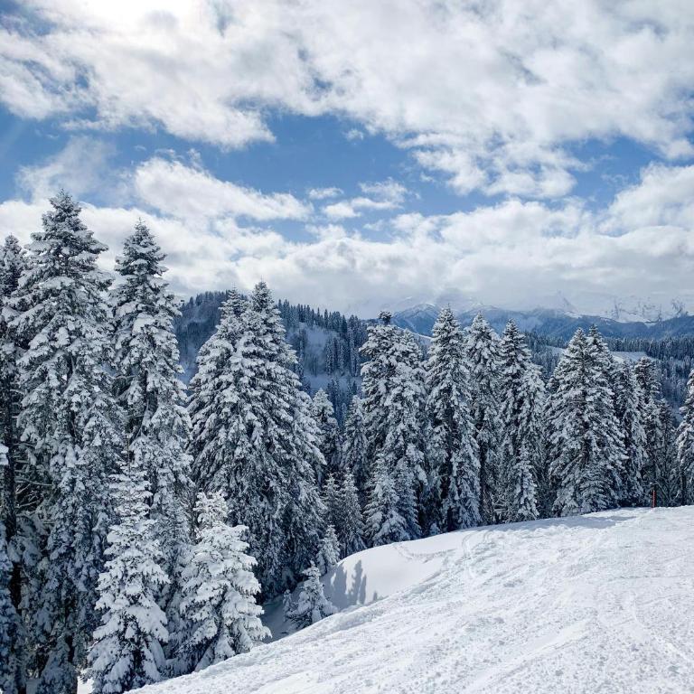 VitaDea Milmari Kopaonik - Room #784545202 - 48