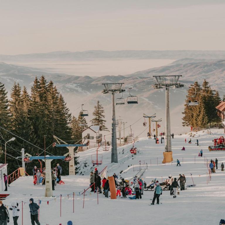 VitaDea Milmari Kopaonik - Room #784545202 - 47