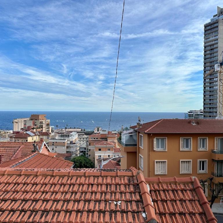 Monaco Villa BRIGITTE Terrasse - Appartement 2 Chambres avec Terrasse - 42