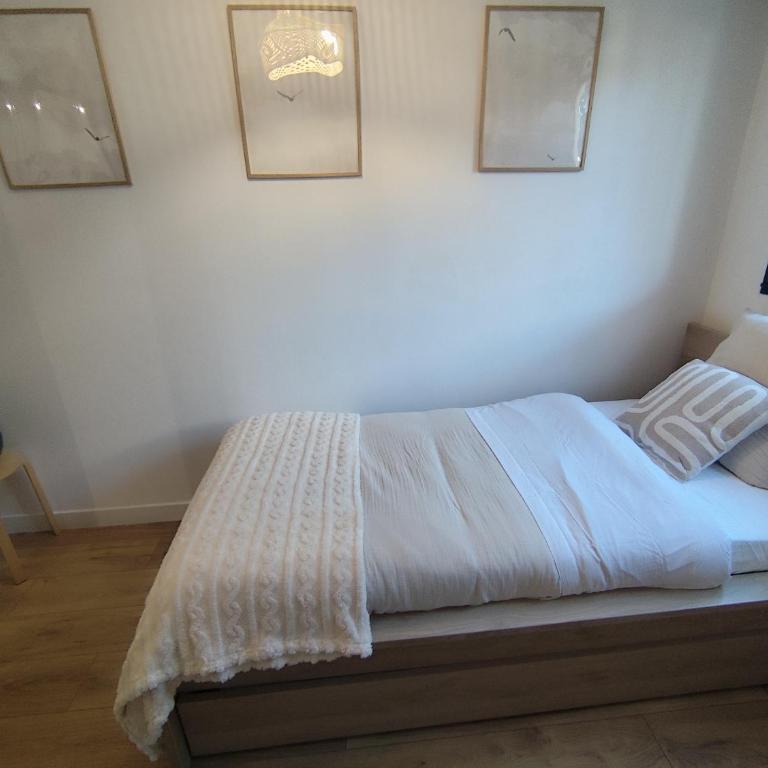 Appartement cosy en centre-ville - Appartement 2 Chambres - 2