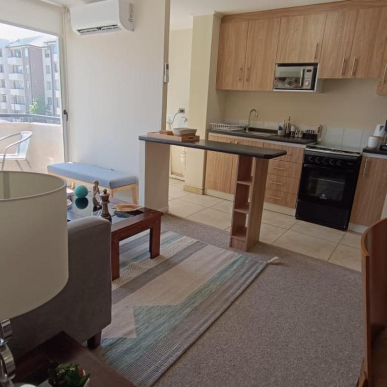 Depto en condo, 2D 1B, aire estacionamiento, full - One-Bedroom Apartment - 16