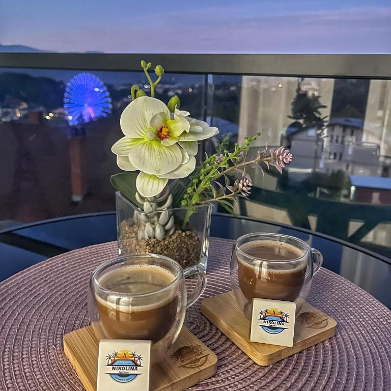 Apartman NIKOLINA - Apartman sa 1 Spavaćom Sobom - 15