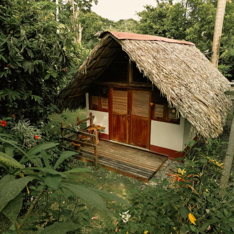 Cabañas Tucan Eco Hotel - Bungalow Deluxe con vistas al jardín - 2