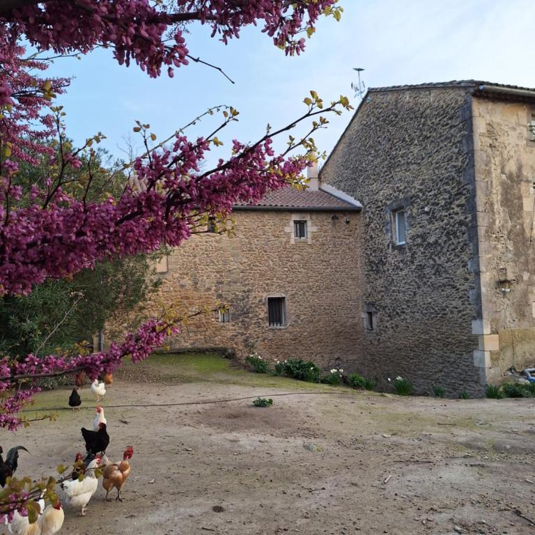Moulin de Tartay en Avignon - Apartamento de 2 dormitorios - 11