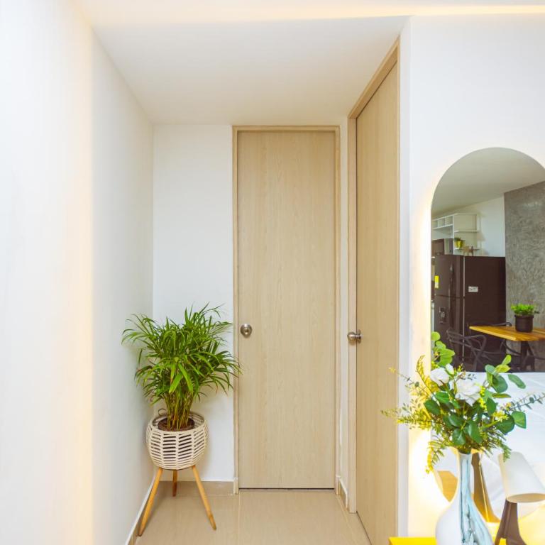 Edificio Comuna Loft - Studio - Disability Access - 9
