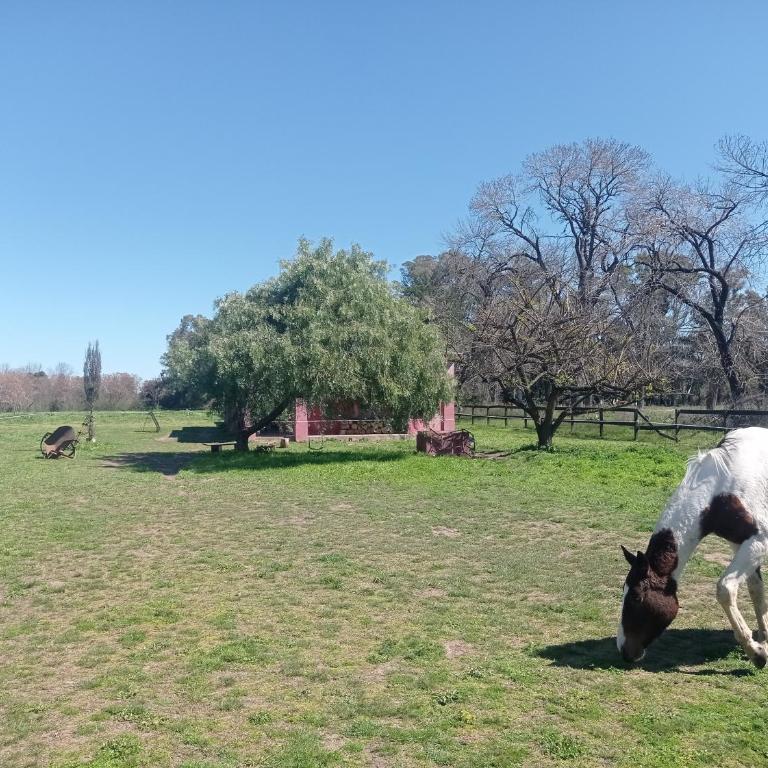 La Chacra - Tienda - 10