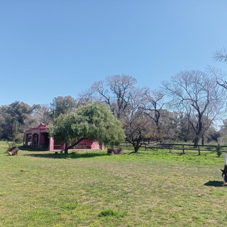 La Chacra - Tienda - 13