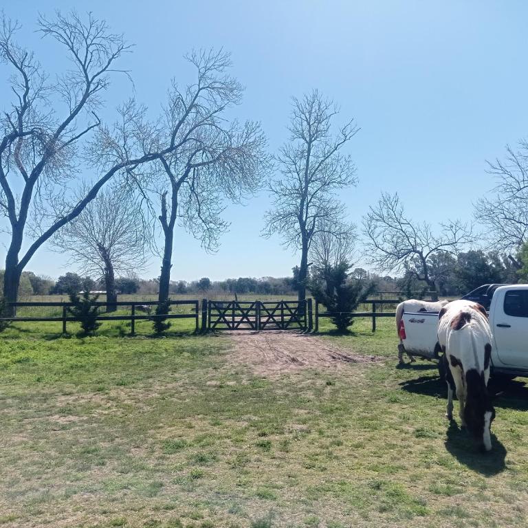 La Chacra - Tienda - 14