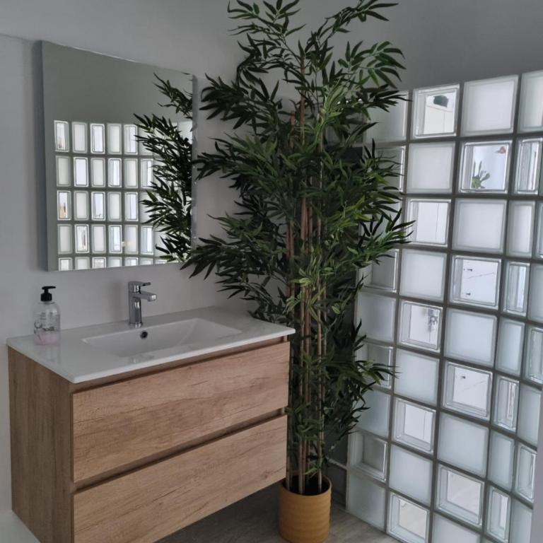 Adosadito Playa Oliva - Apartamento de 1 dormitorio - 22