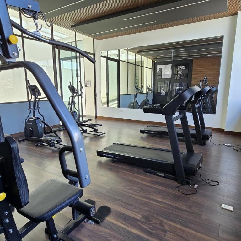 Apartment within walking distance of Parque Fidel Anze! - One-Bedroom Apartment - 15