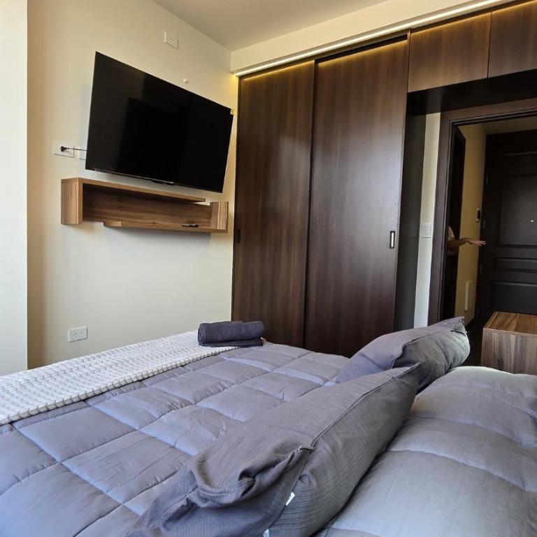 Apartment within walking distance of Parque Fidel Anze! - One-Bedroom Apartment - 27