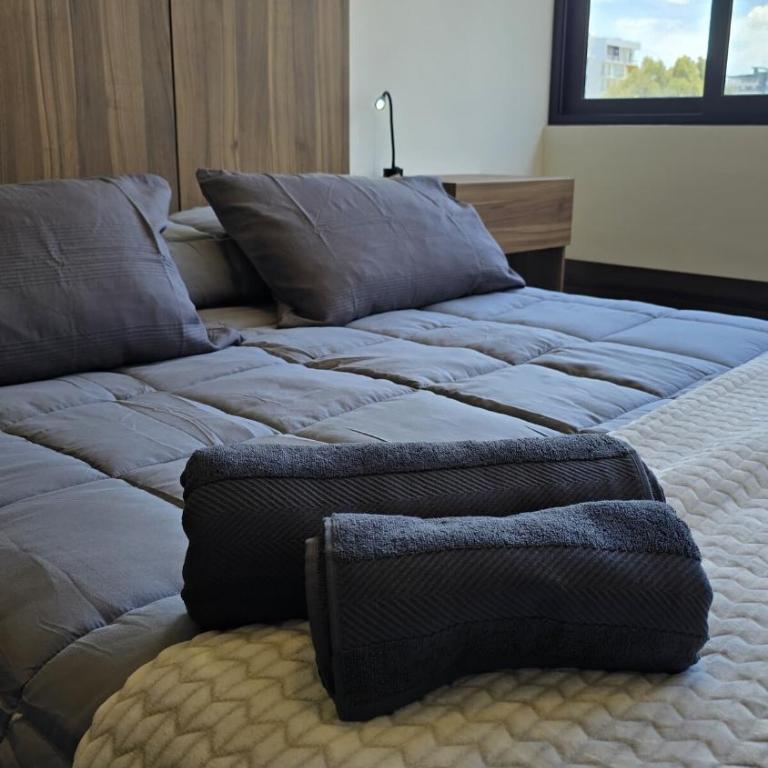 Apartment within walking distance of Parque Fidel Anze! - One-Bedroom Apartment - 29