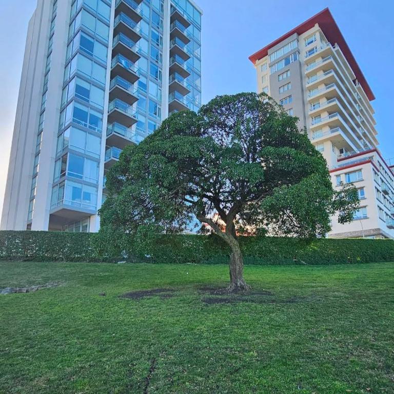 RocaRosa - Apartamento - 2