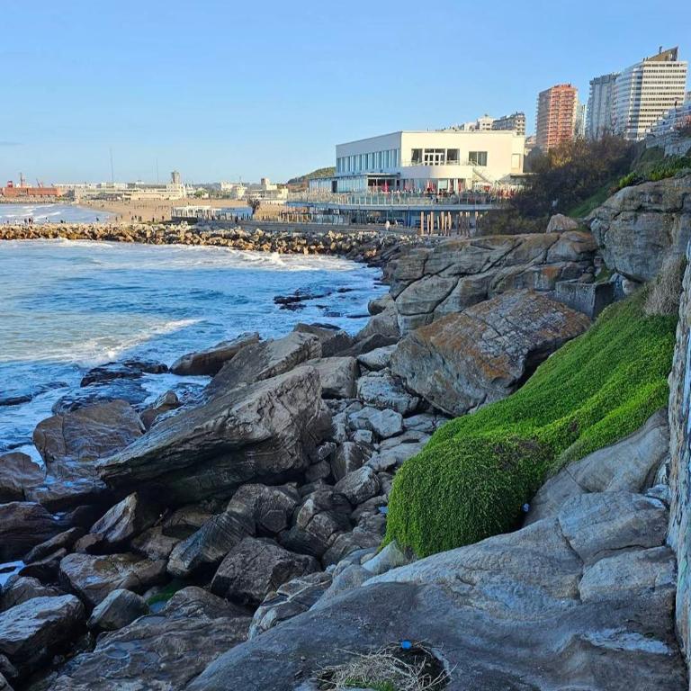 RocaRosa - Apartamento - 6