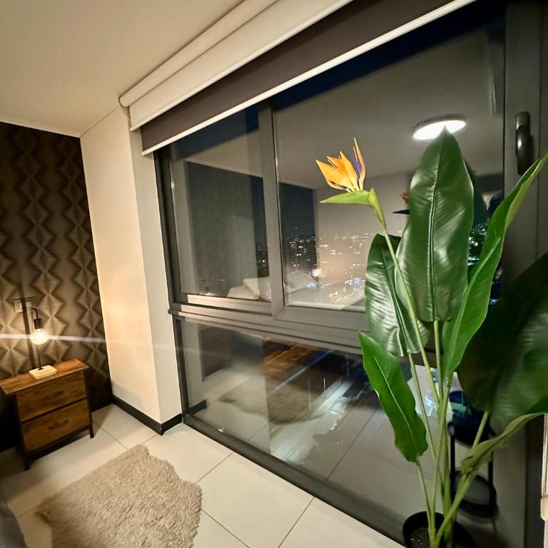 Sky Egaña - One-Bedroom Apartment - 1