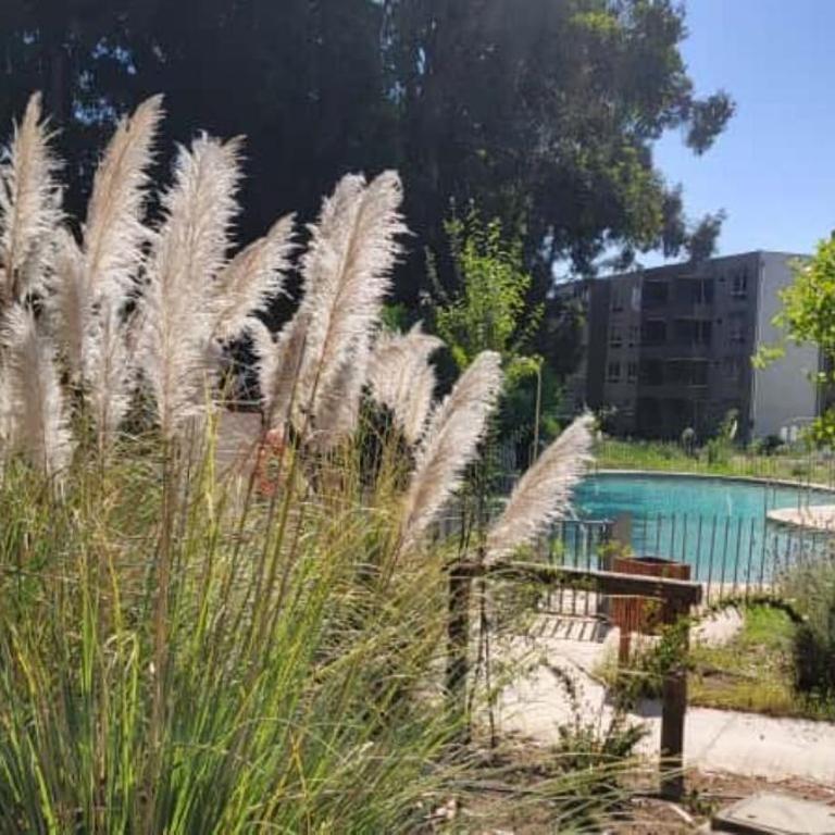 Rbk° Depto nuevo en condominio en Papudo - Three-Bedroom Apartment - 22
