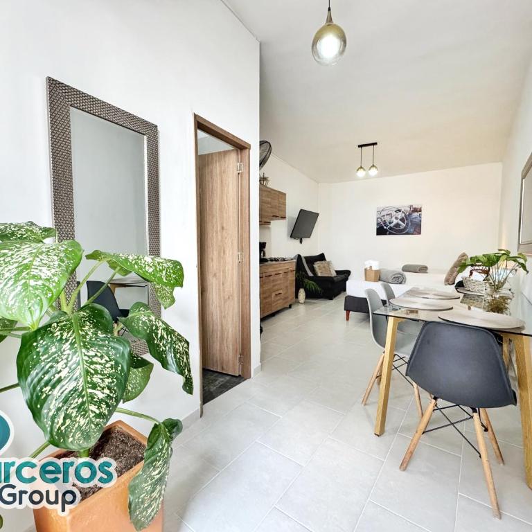 Apartamentos Zona Circunvalar Por Parceros Group - Apartment - 2