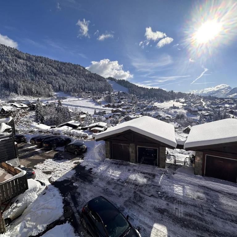 Studio cosy pour 4 proches des pistes aux Carroz d'Arâches - FR-1-572-102 - Studio - 14