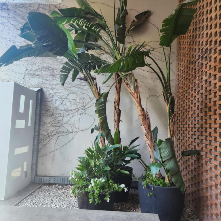 Ribera Parana Suit , a metros del Rio - Apartamento de 1 dormitorio - 36