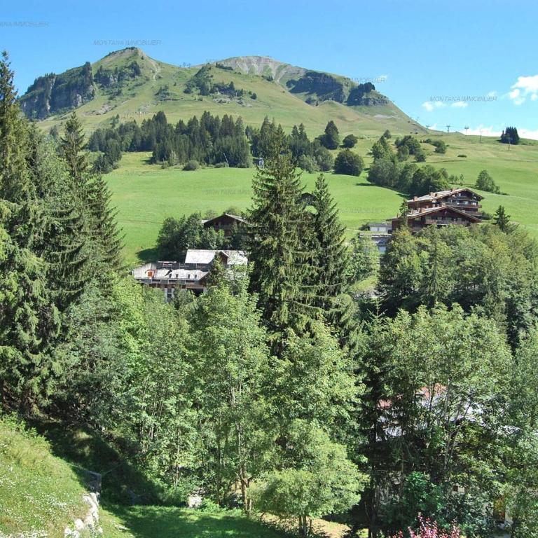 Duplex 2 chambres pour 6 - au pied des pistes - Le Grand-Bornand - FR-1-458-112 - Apartamento (6 adultos) - 10