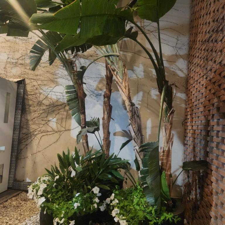 Ribera Parana Suit , a metros del Rio - Apartamento de 1 dormitorio - 3