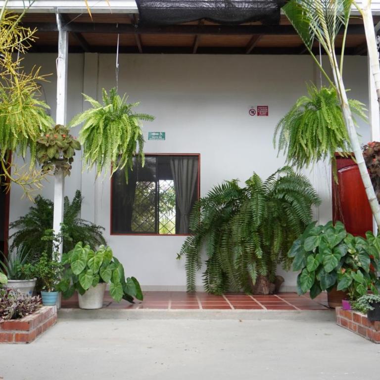 Casa Hotel La Esperanza - Double Room with Private Bathroom - 17