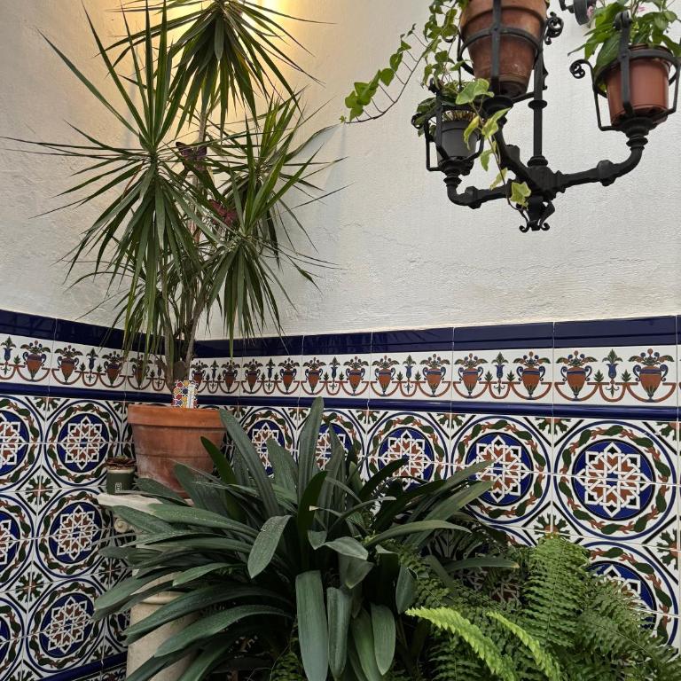 Charming patio apartment 1 min Cathedral - Apartamento - 10
