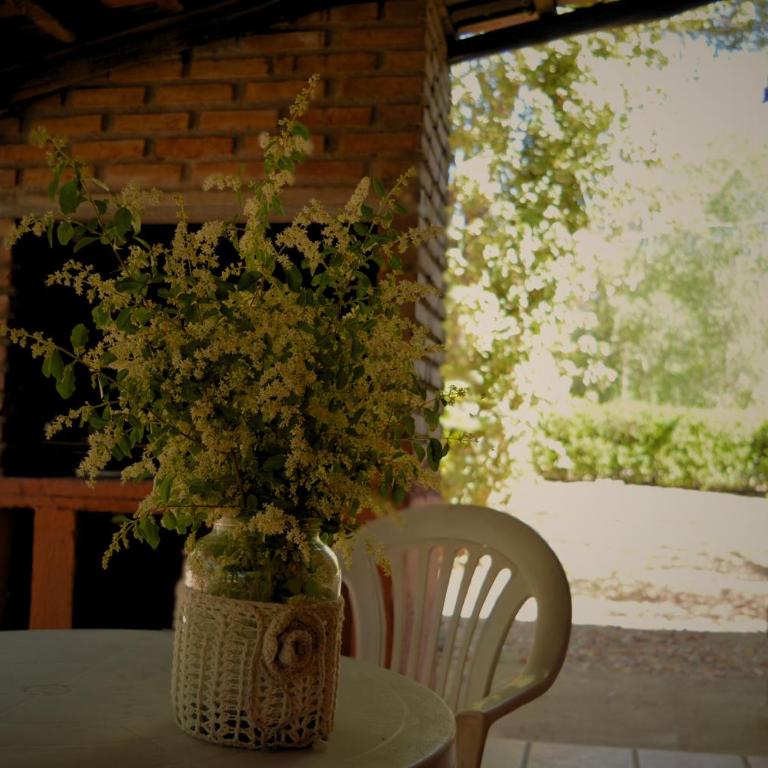 Cabaña Del Parque - Habitación Doble con vistas al parque - 6