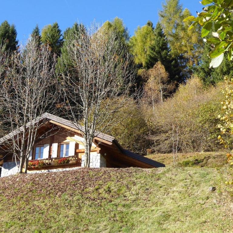 Baita Genzianella - Maison 2 Chambres - 35