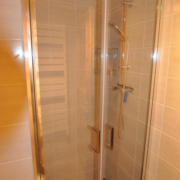 Studio 2 pers. à Chamonix avec vue montagnes, parking - FR-1-517-59 - Studio - 17