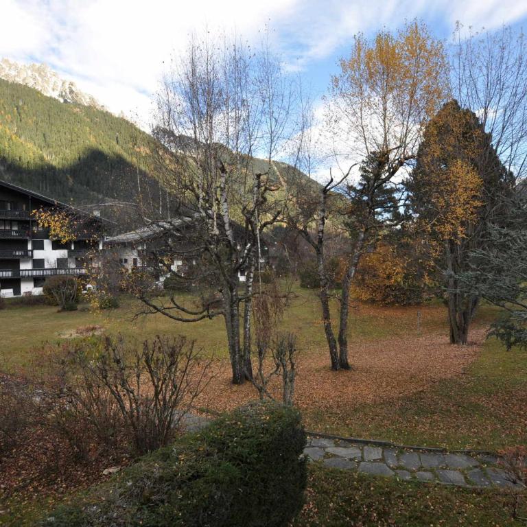 Studio 2 pers. à Chamonix avec vue montagnes, parking - FR-1-517-59 - Studio - 18