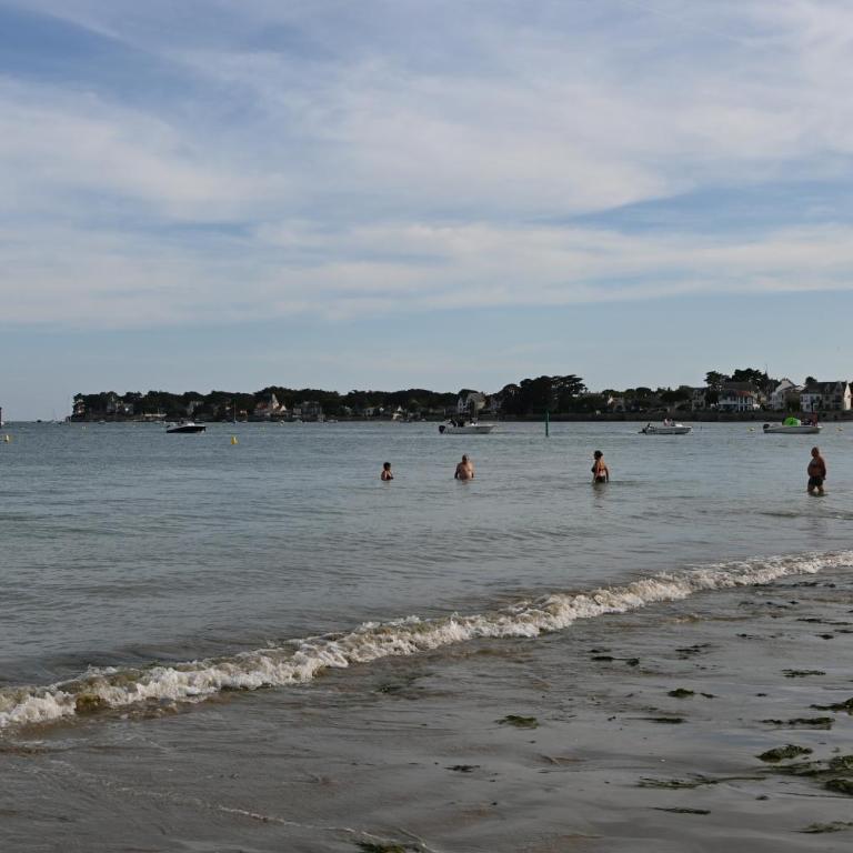 L'Escapade Bauloise - Cozy - Benoît Beach - Port - Appartement - 33
